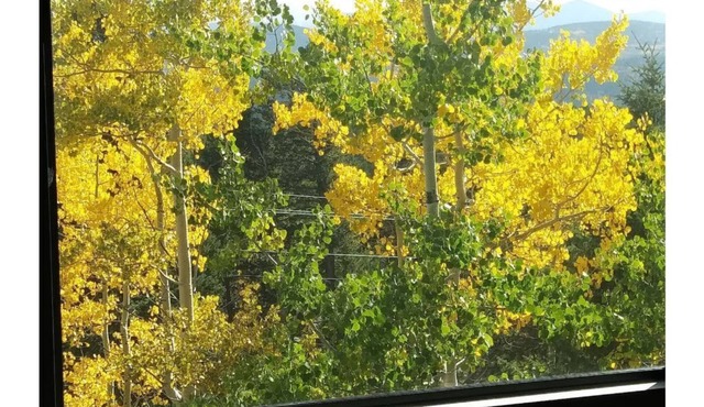 The Treetop Lodge at Black Hawk - MOUNTAINS! Everywhere You Look!
