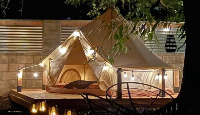Walkable~ Bikes~ Firepits~ Petsok~ Bbq~ Dining