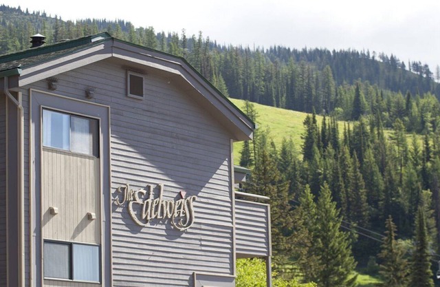 Beautiful 1 bedroom unit at resort, sleeps 4