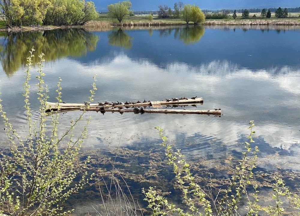 Photo of Outdoor in Charlo