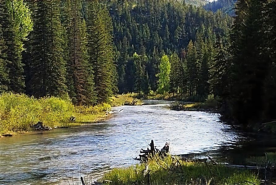 Photo of Others in Missoula