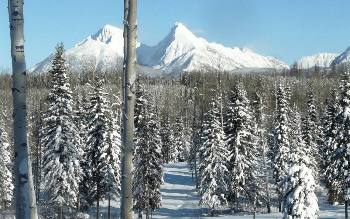 Photo of Others in Polebridge