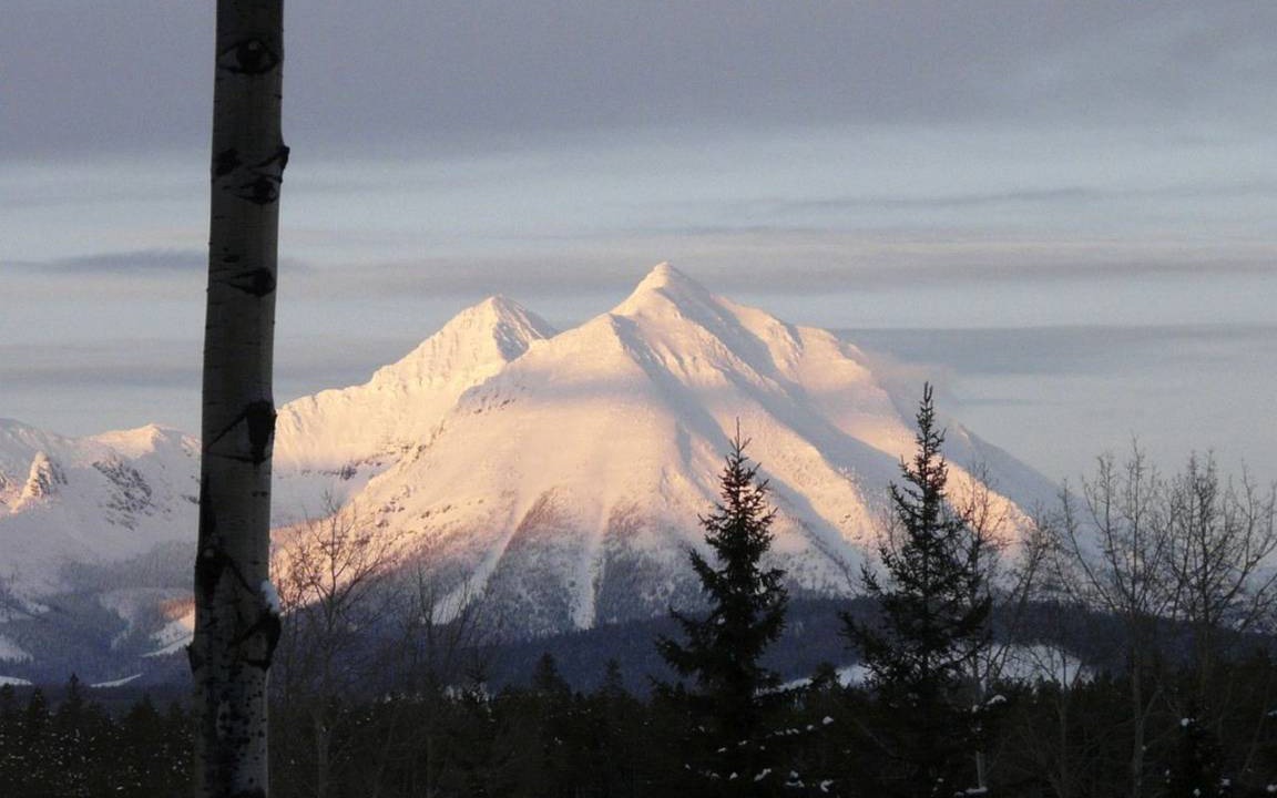 Photo of Others in Polebridge