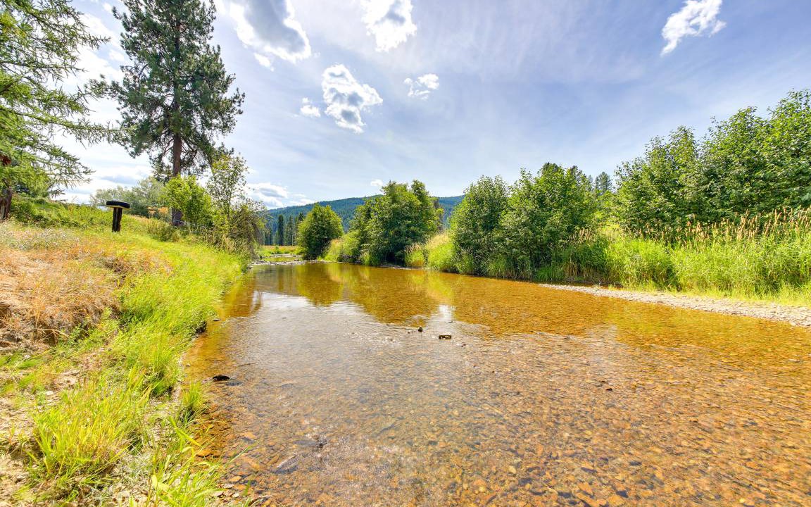 Photo of Others in Trout Creek