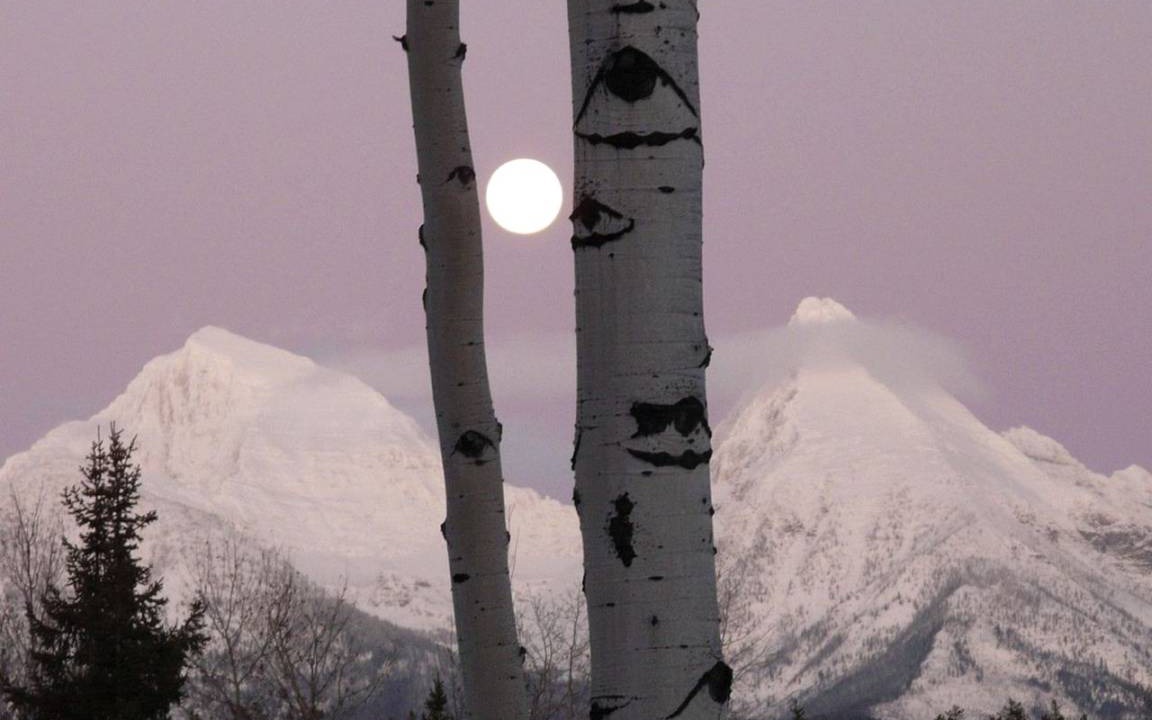 Photo of Others in Polebridge