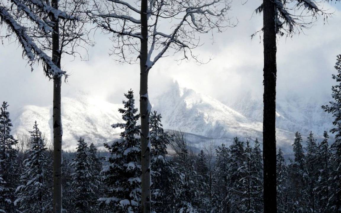 Photo of Others in Polebridge