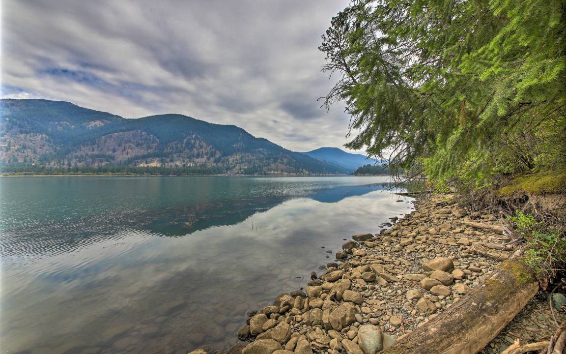 Photo of Others in Trout Creek