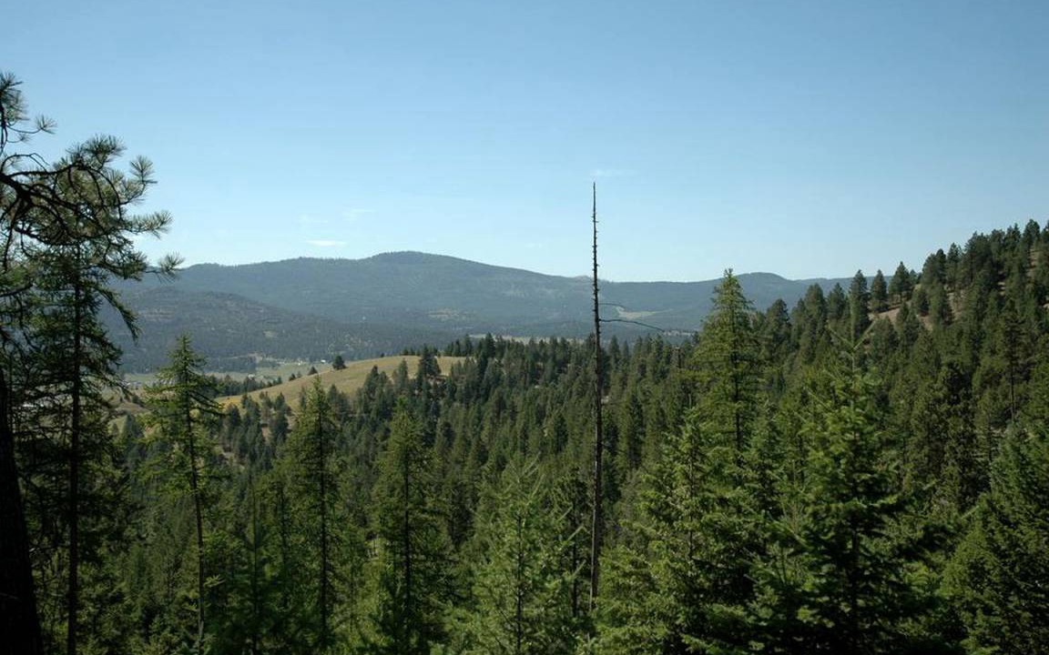 Photo of Others in Kalispell