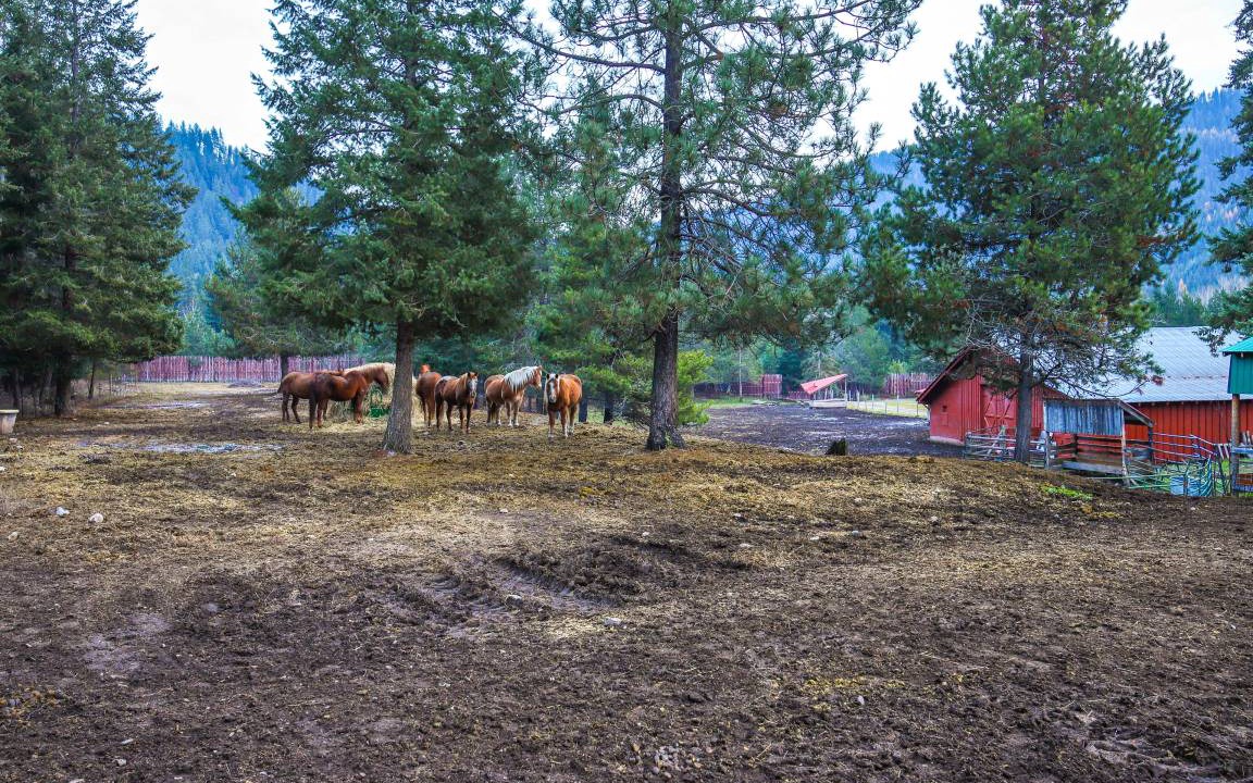 Photo of Others in De Borgia