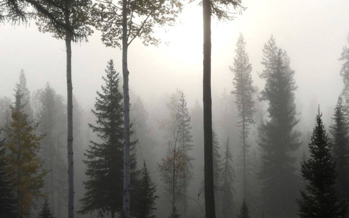 Photo of Others in Polebridge