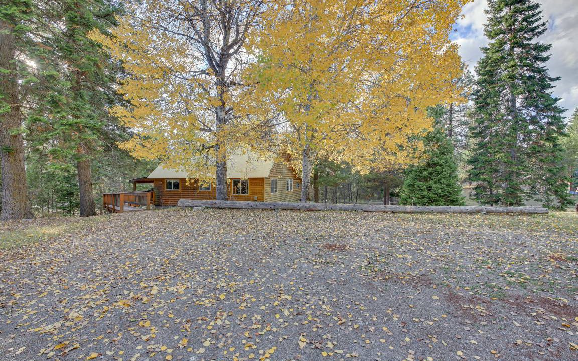 Photo of Others in Trout Creek