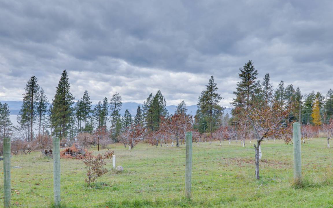 Photo of Others in Woods Bay