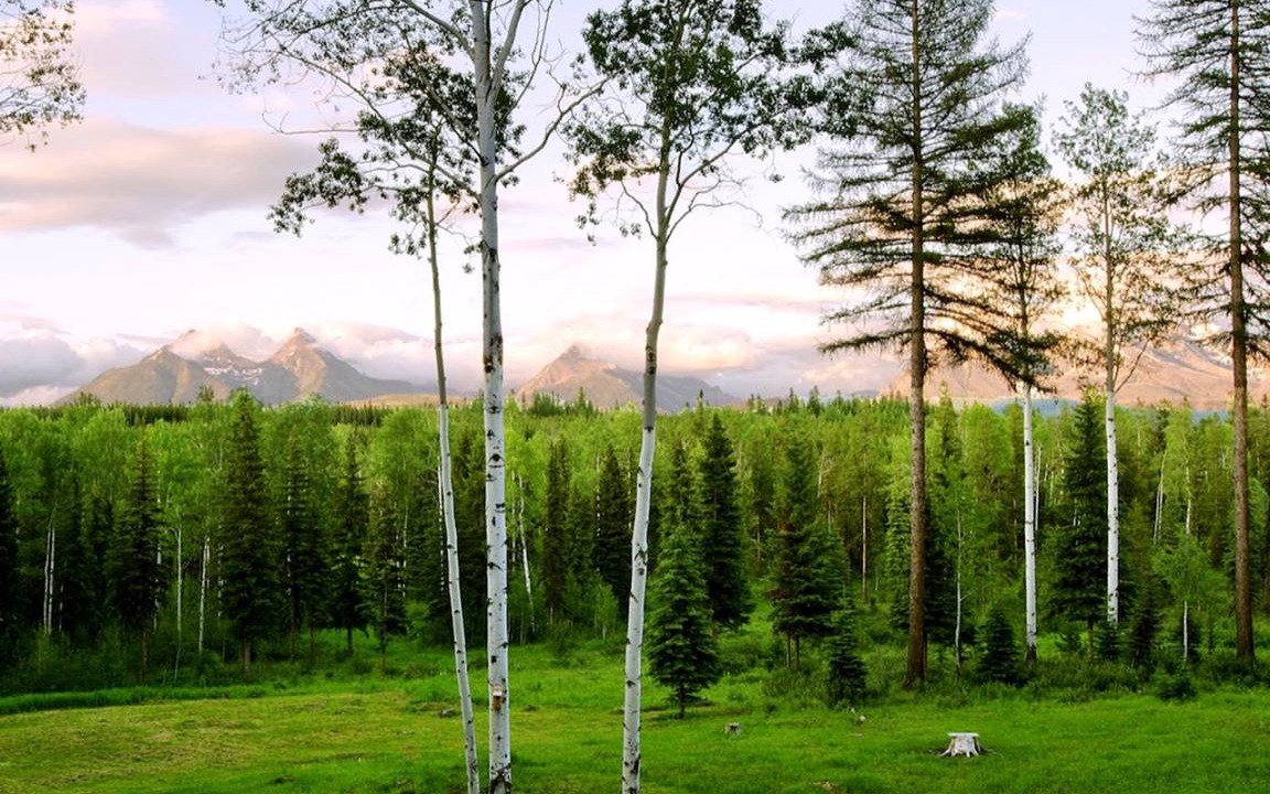 Photo of Others in Polebridge