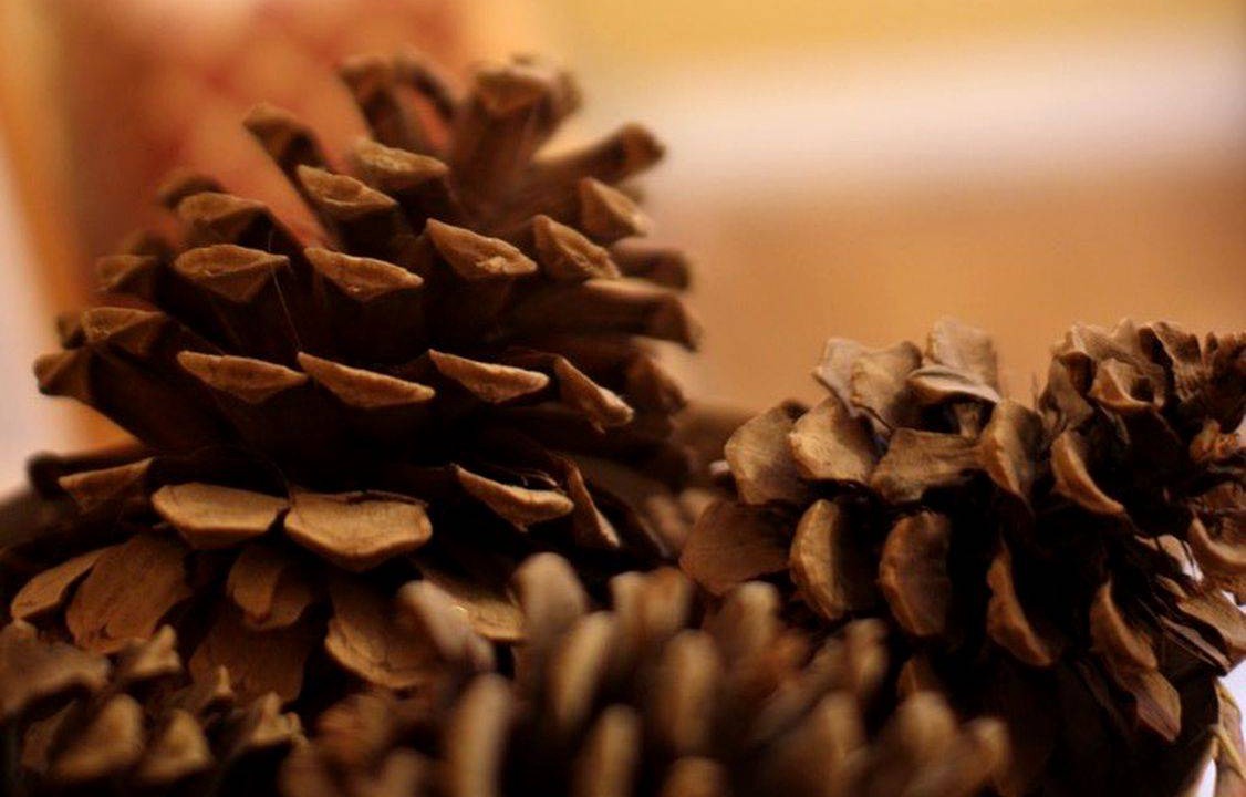 Photo of Others in Polebridge