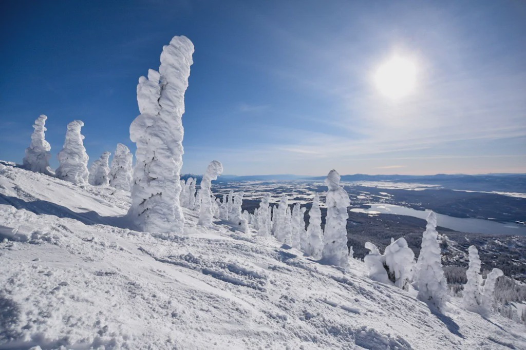 Photo of Others in Whitefish