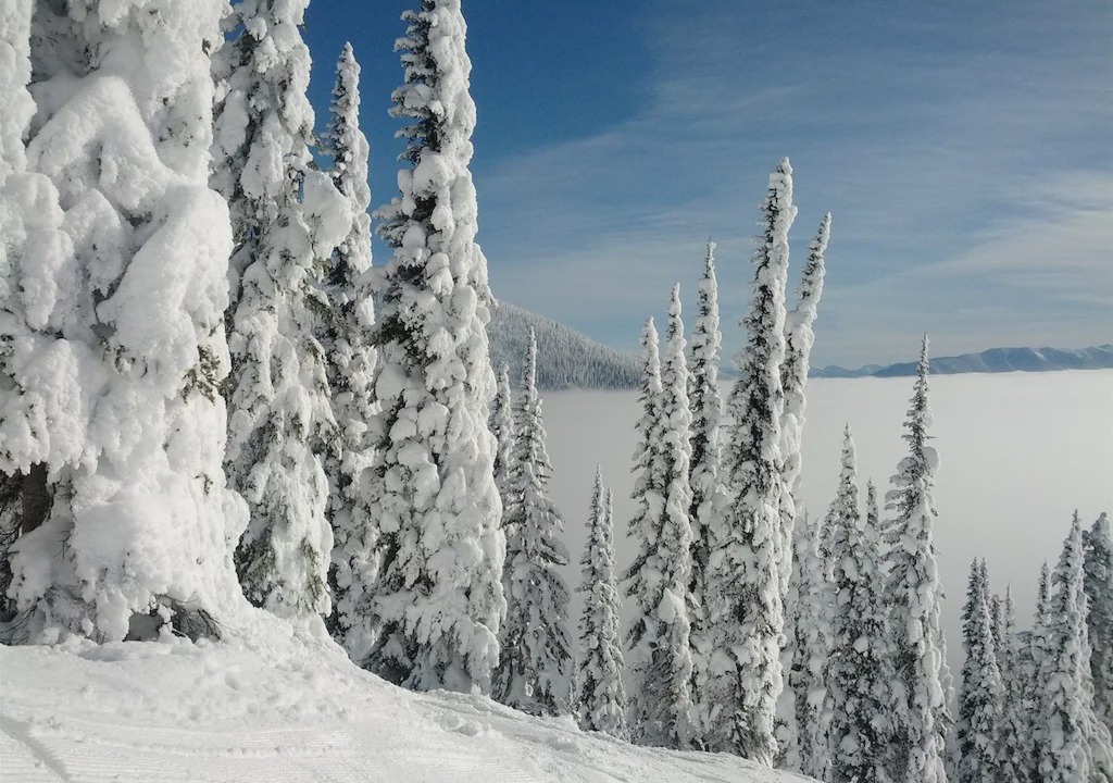 Photo of Others in Whitefish