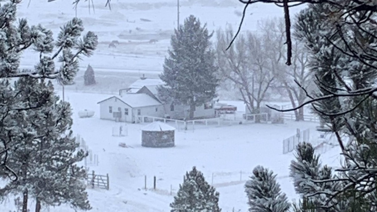 Photo of Outdoor in Roundup