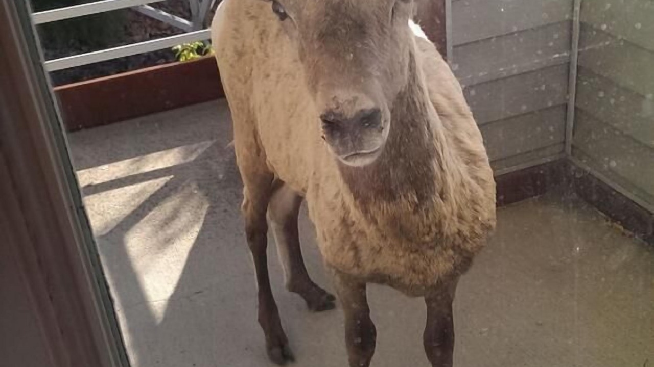 Photo of Outdoor in Gardiner