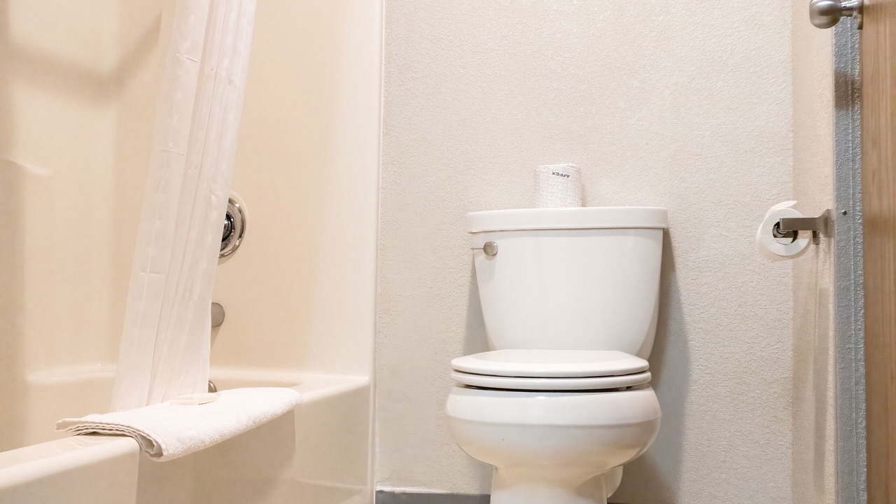 Photo of Others in Gardiner