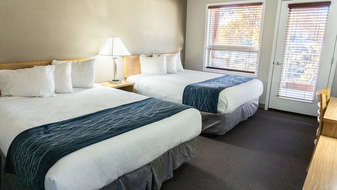 Photo of Others in Gardiner