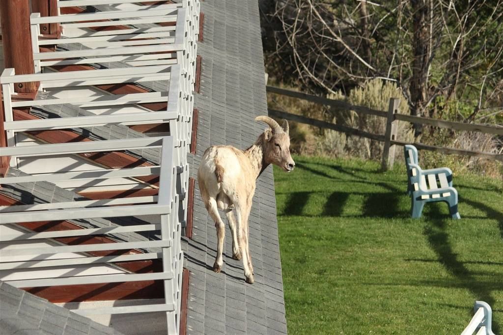 Photo of Outdoor in Gardiner