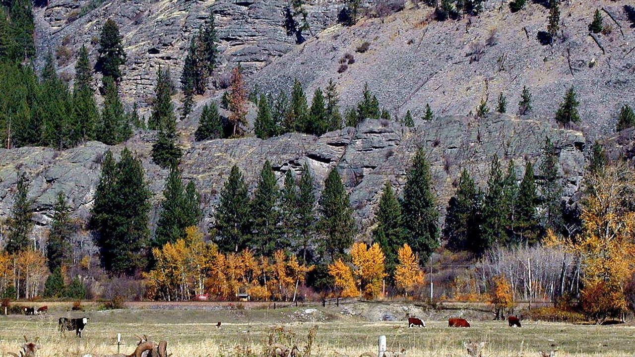 Photo of Outdoor in Thompson Falls