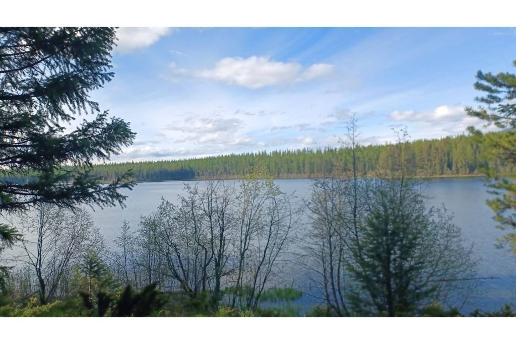 Photo of Others in Olney