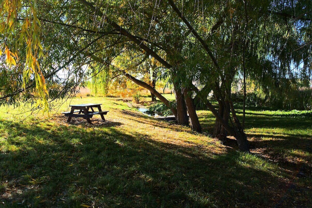 Photo of Outdoor in Polson