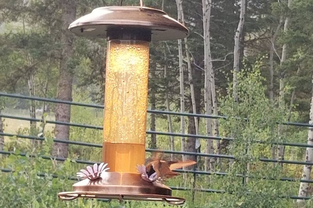 Photo of Outdoor in Wilsall