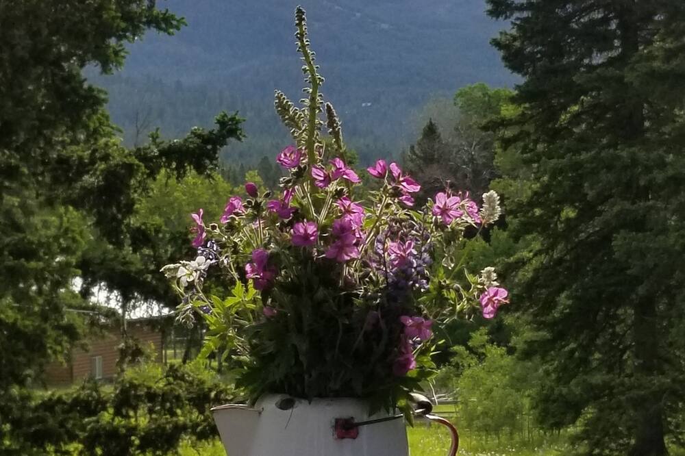 Photo of Outdoor in Wilsall