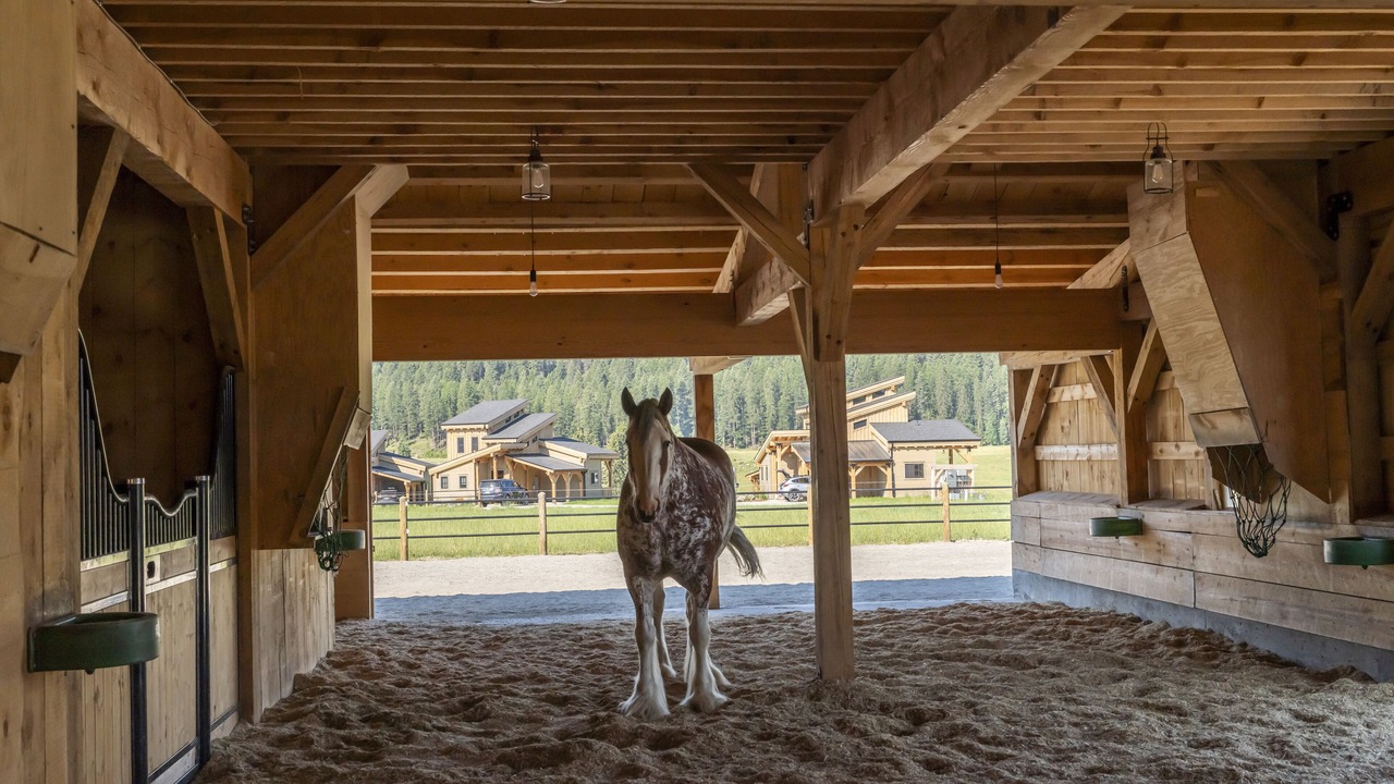 Photo of Outdoor in Whitefish