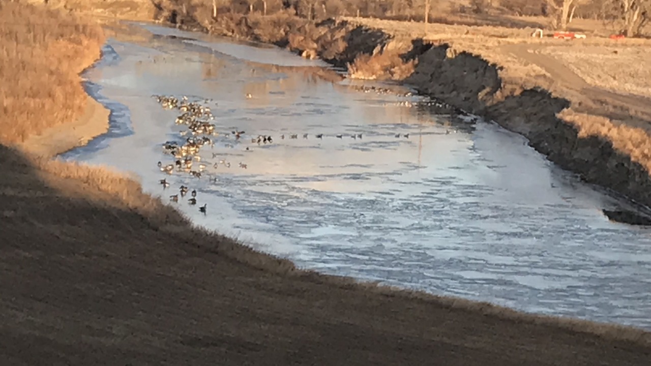 Photo of Others in Great Falls