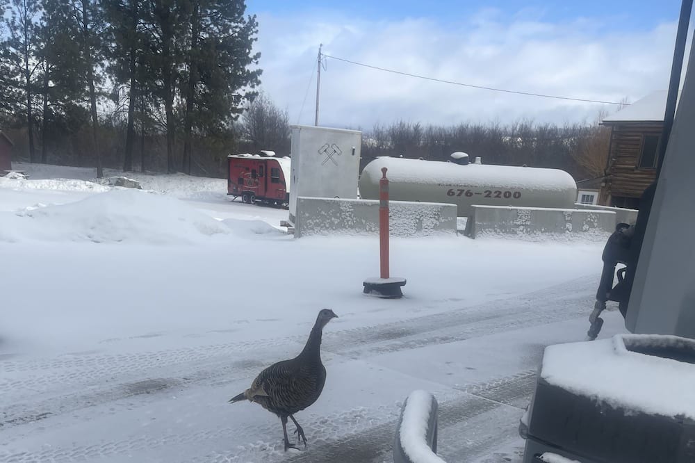 Photo of Outdoor in Ravalli County