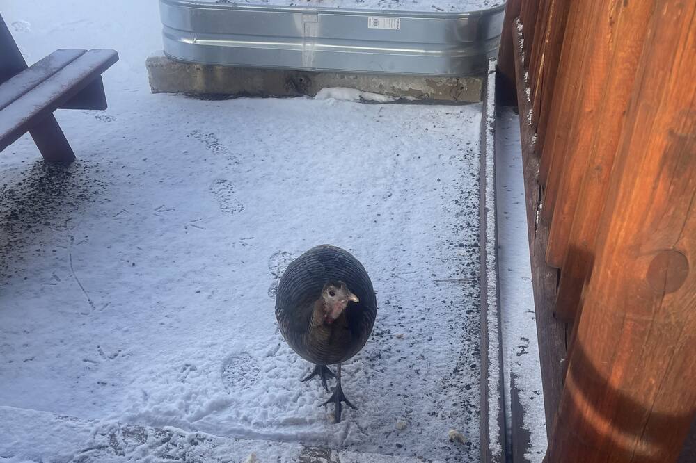 Photo of Outdoor in Ravalli County