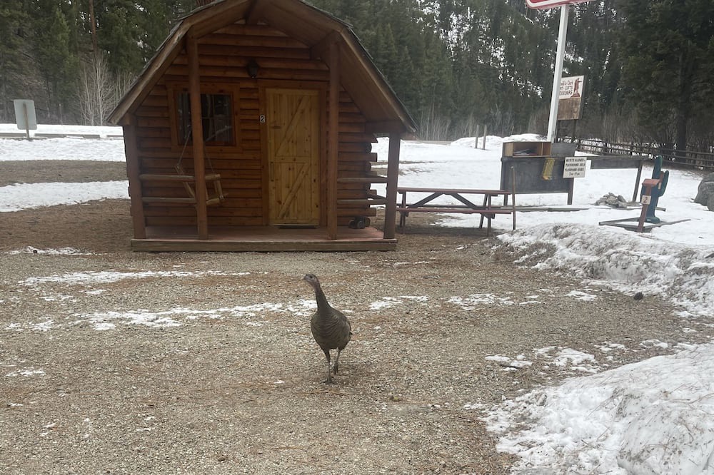 Photo of Outdoor in Ravalli County