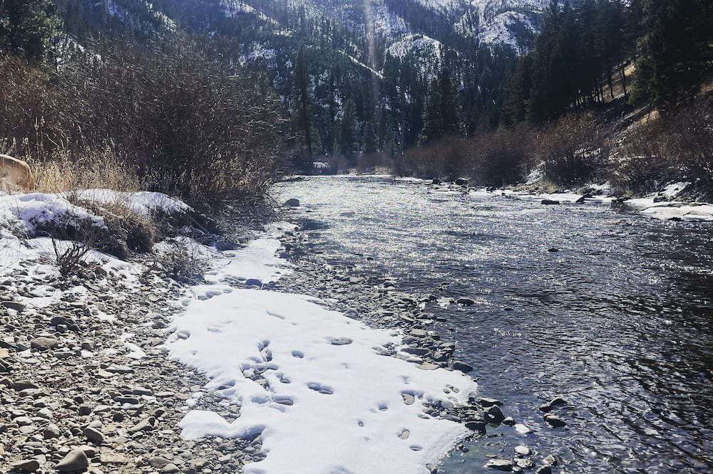 Photo of Others in Ravalli County