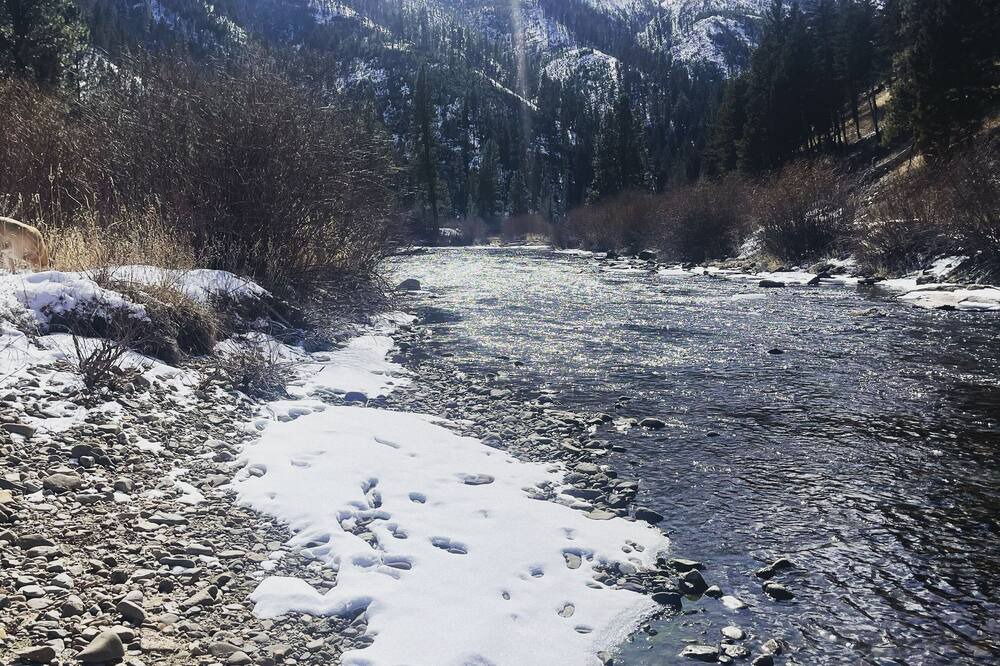 Photo of Others in Ravalli County
