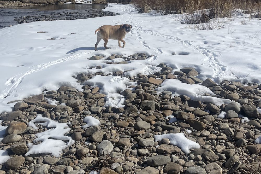 Photo of Others in Ravalli County