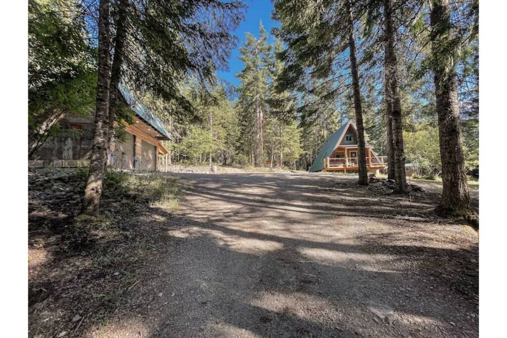 Photo of Outdoor in Heron
