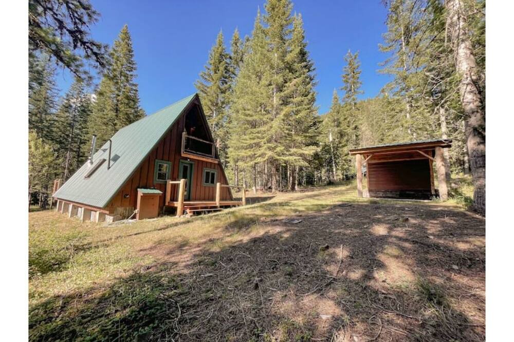 Photo of Outdoor in Heron