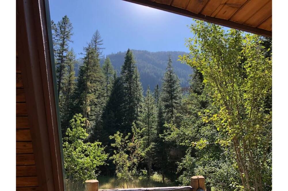 Photo of Outdoor in Heron