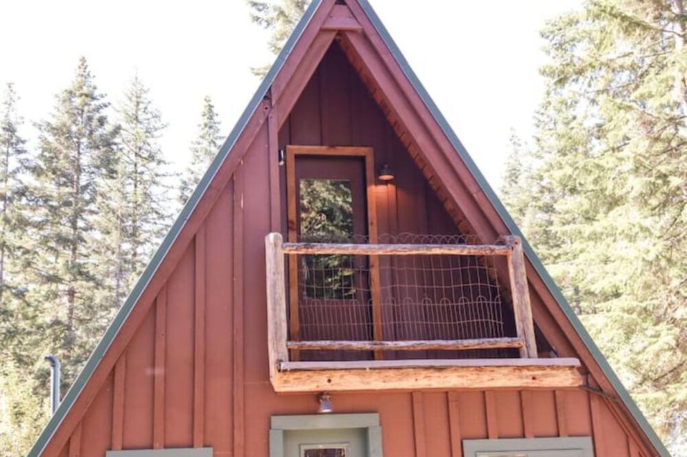 Photo of Outdoor in Heron