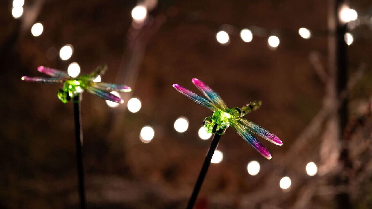 Photo of Others in Hot Springs