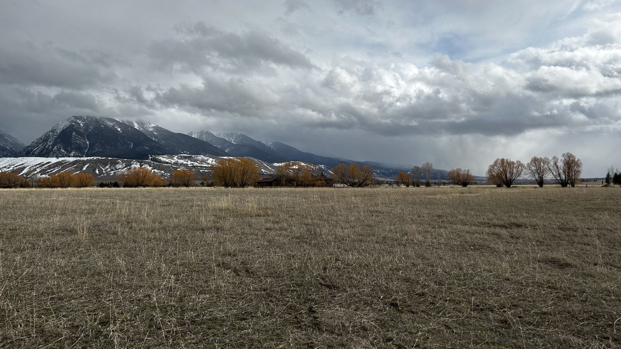 Photo of Outdoor in Livingston