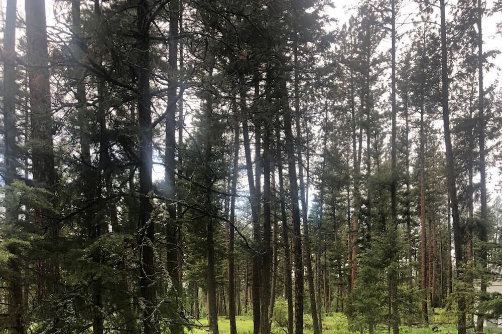 Photo of Outdoor in Huson