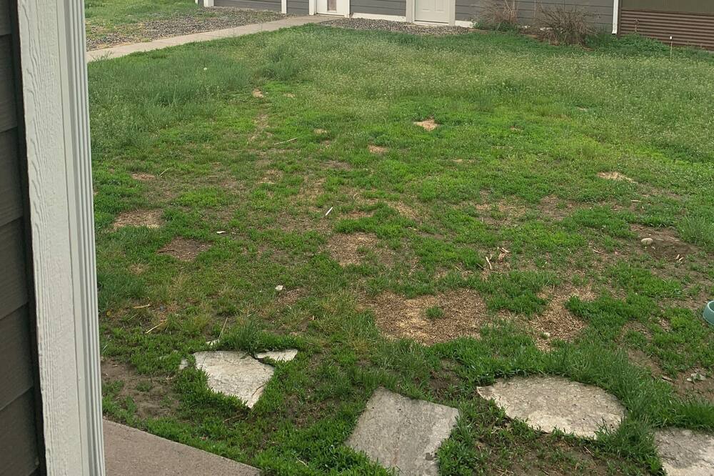 Photo of Outdoor in Bozeman