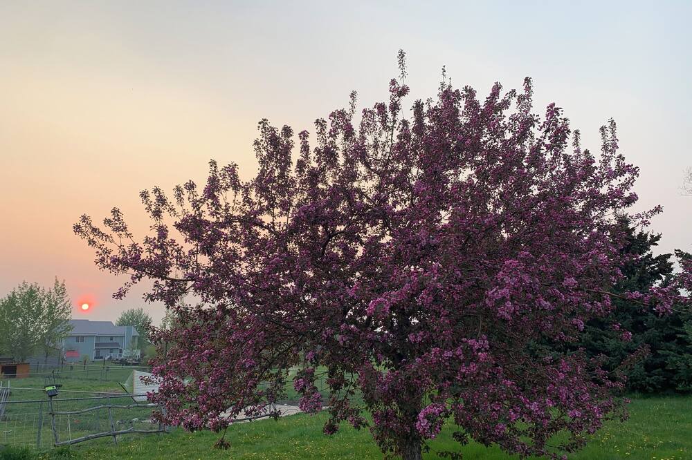 Photo of Outdoor in Bozeman
