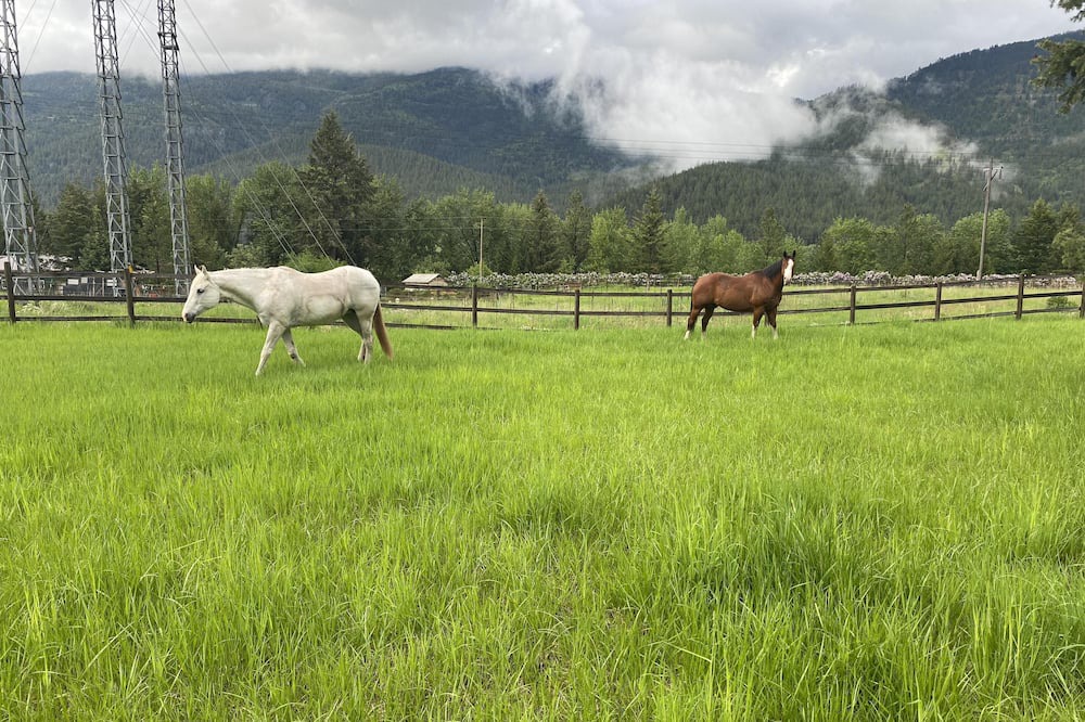 Photo of Others in Missoula