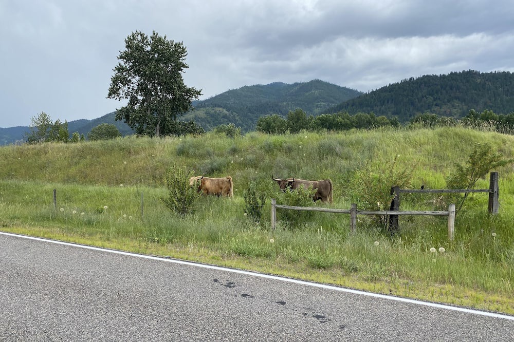Photo of Others in Missoula