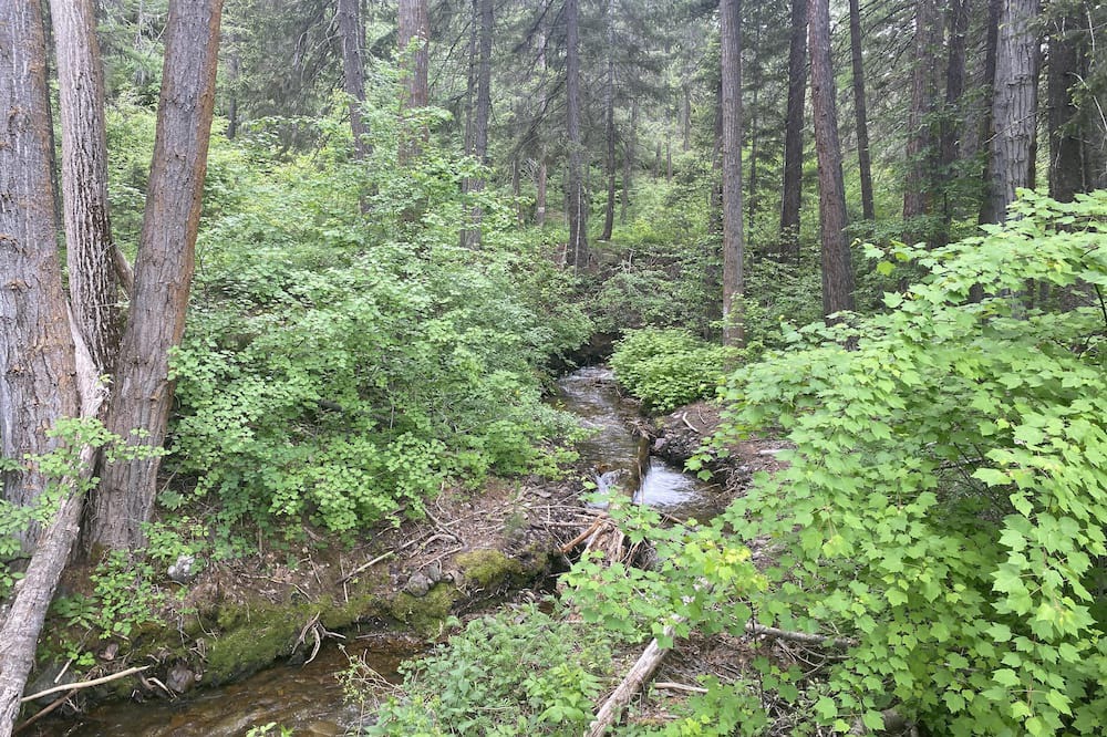 Photo of Others in Missoula